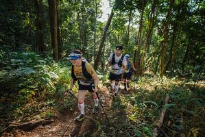 BIB: 
                            <button type="button" onclick="openModal(22551442)" class="btn btn-primary btn-sm float-right btn-popup" data-toggle="modal" data-target=".modal-high-quality">
                        <i class="fas fa-shopping-cart"></i> Add to Cart
                    </button>
                                            <button type="button" onclick="isThisMe(22551442, true)" class="btn btn-success btn-sm float-right btn-popup btn-isme hidden" data-toggle="tooltip" data-placement="bottom" title="นี่คือรูปของคุณใช่ไหม คลิกที่นี่เพื่อเอาเข้าอัลบั้ม">
                        <i class="fas fa-plus"></i> Add to album
                    </button>
                    <button type="button" onclick="isThisMe(22551442, false)" class="btn btn-warning btn-sm float-right btn-popup btn-isnotme hidden">
                        <i class="fas fa-ban"></i> Remove from album
                    </button>